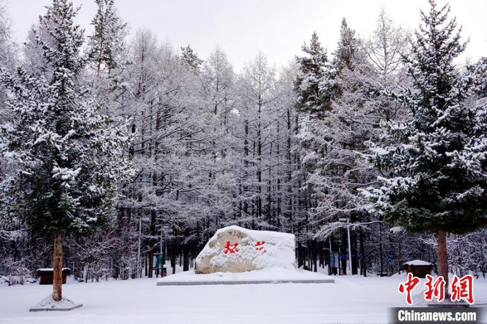 树枝上挂满了雪花。 王景阳 摄 树枝上挂满了雪花。 王景阳 摄
