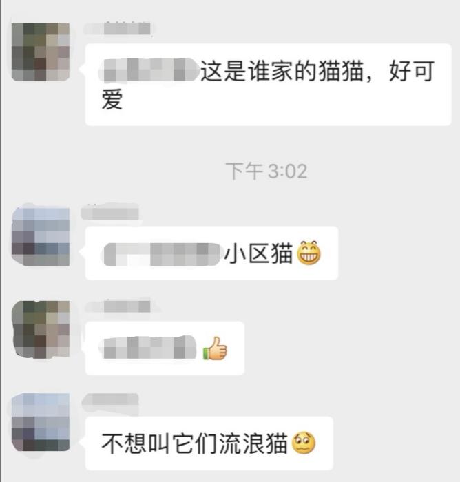 视频截图 视频截图