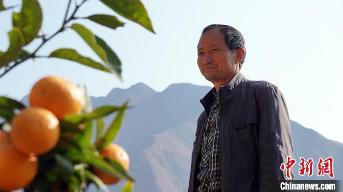 图为田济明讲述自己的“种橘史”。 魏建军 摄 图为田济明讲述自己的“种橘史”。 魏建军 摄