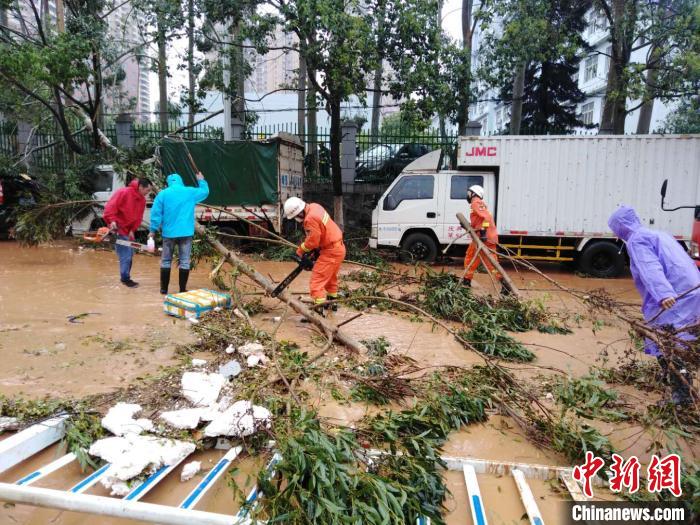 3月23日午间,江西省定南县遭受暴风、大雨、冰雹袭击,定南县城最大风力达31.6米/秒,超过11级。图为消防人员在清理倒在道路上的树木。 张睿 摄 3月23日午间,江西省定南县遭受暴风、大雨、冰雹袭击,定南县城最大风力达31.6米/秒,超过11级。图为消防人员在清理倒在道路上的树木。 张睿 摄